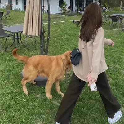 死亡航班