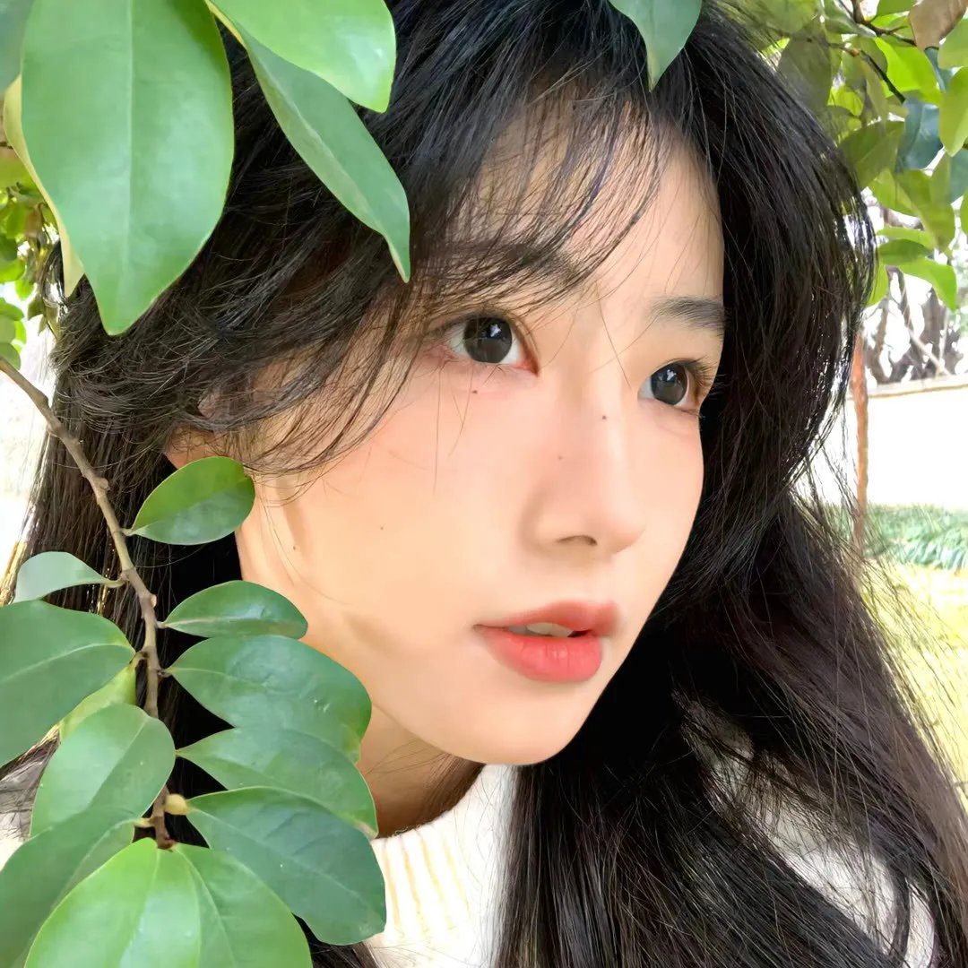 生命的泉源